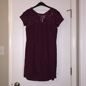 Loft Lace Dress